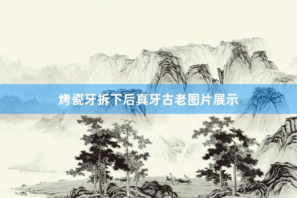 烤瓷牙拆下后真牙古老图片展示